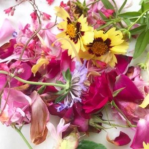 Meet your Posher, Alyssia